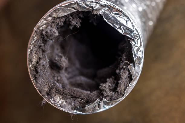Best Air Duct Cleaning Near Me  in Riverton, NJ